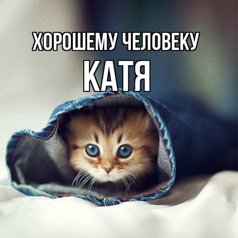 Картинка Хорошему человеку, Катя