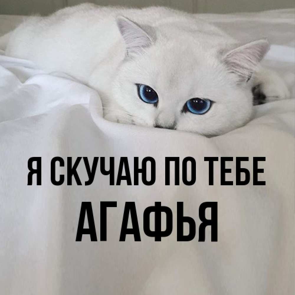 Открытка  с именем. Агафья, Я скучаю по тебе  