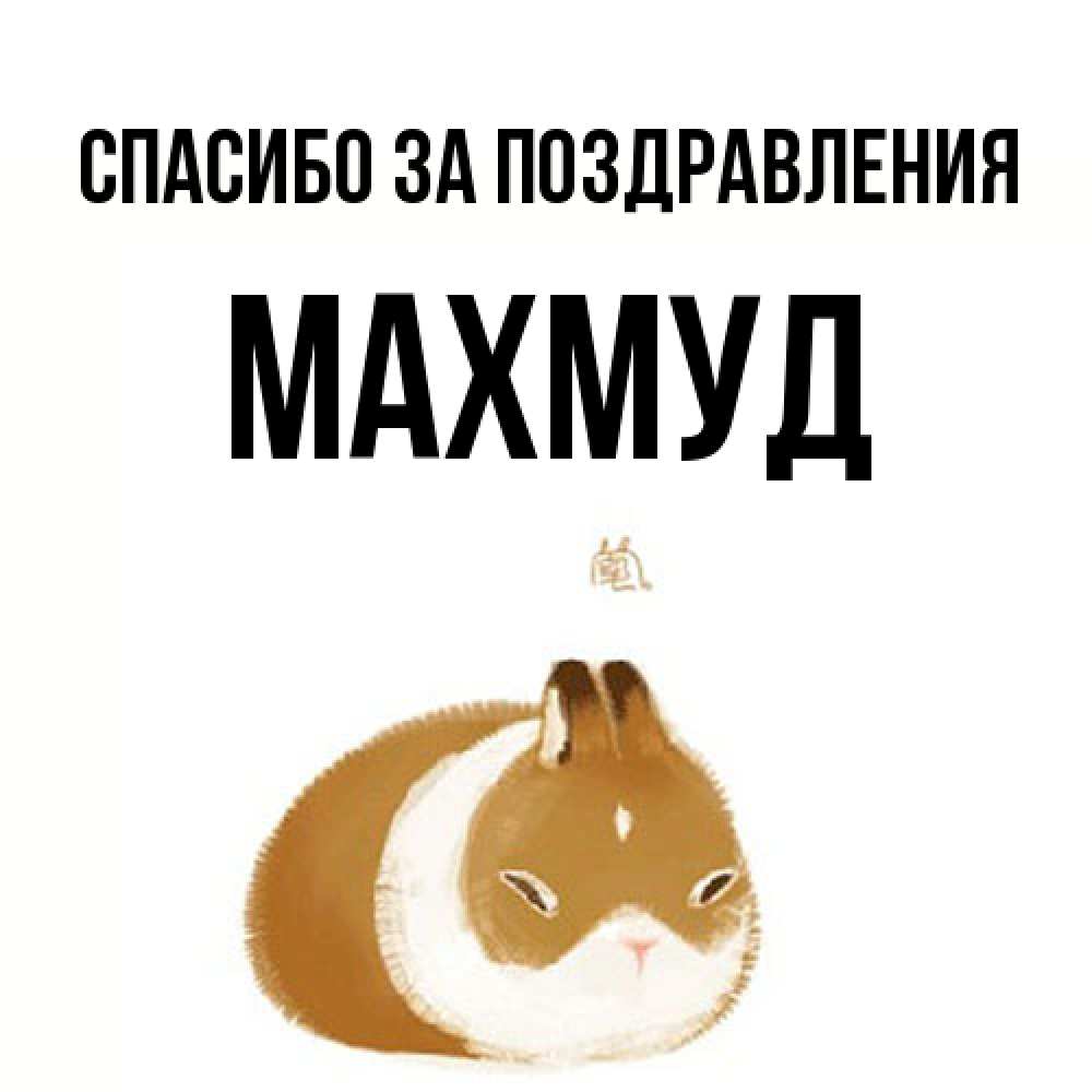 Открытка  с именем. Махмуд, Спасибо за поздравления  