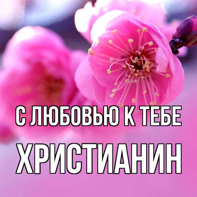 Картинка С любовью к тебе, Христианин