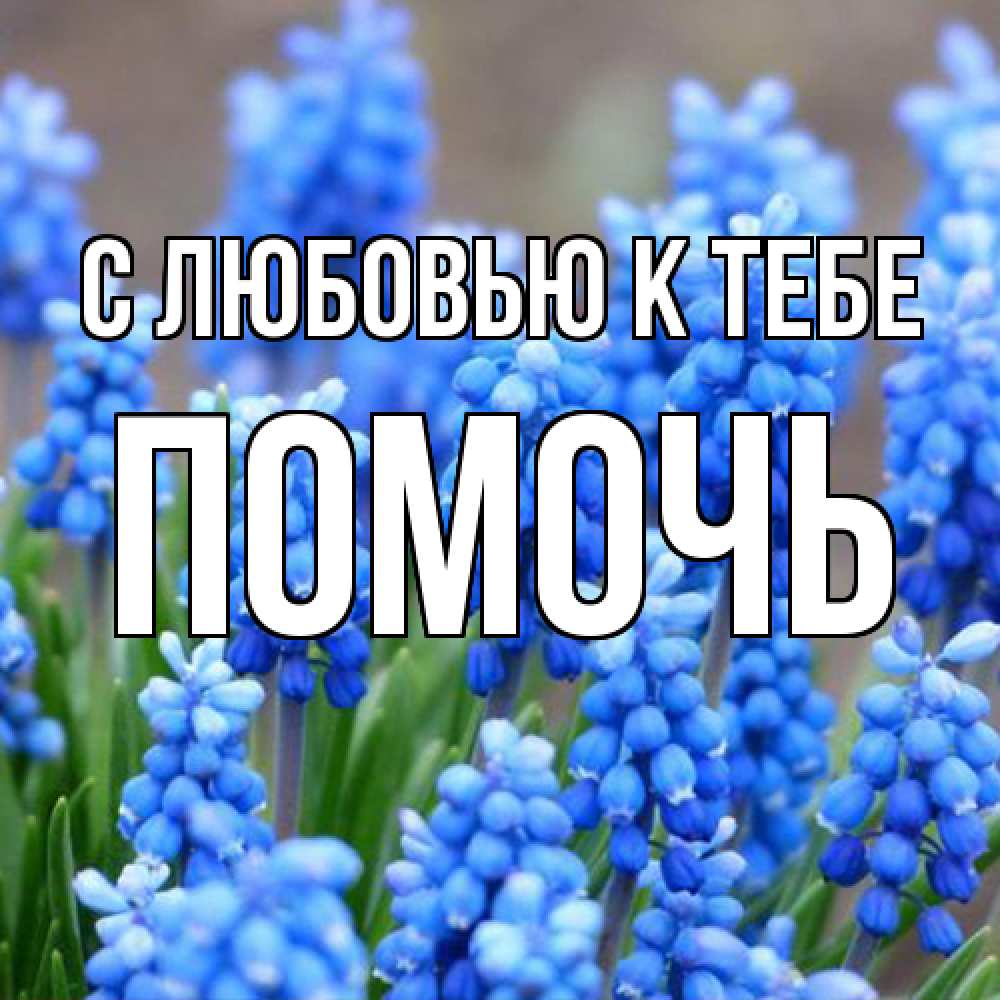 Открытка  с именем. Помочь, С любовью к тебе  