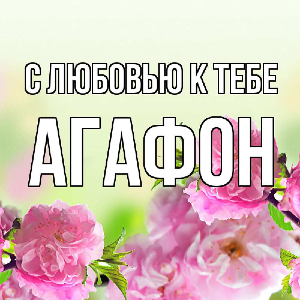 Открытка  с именем. Агафон, С любовью к тебе  