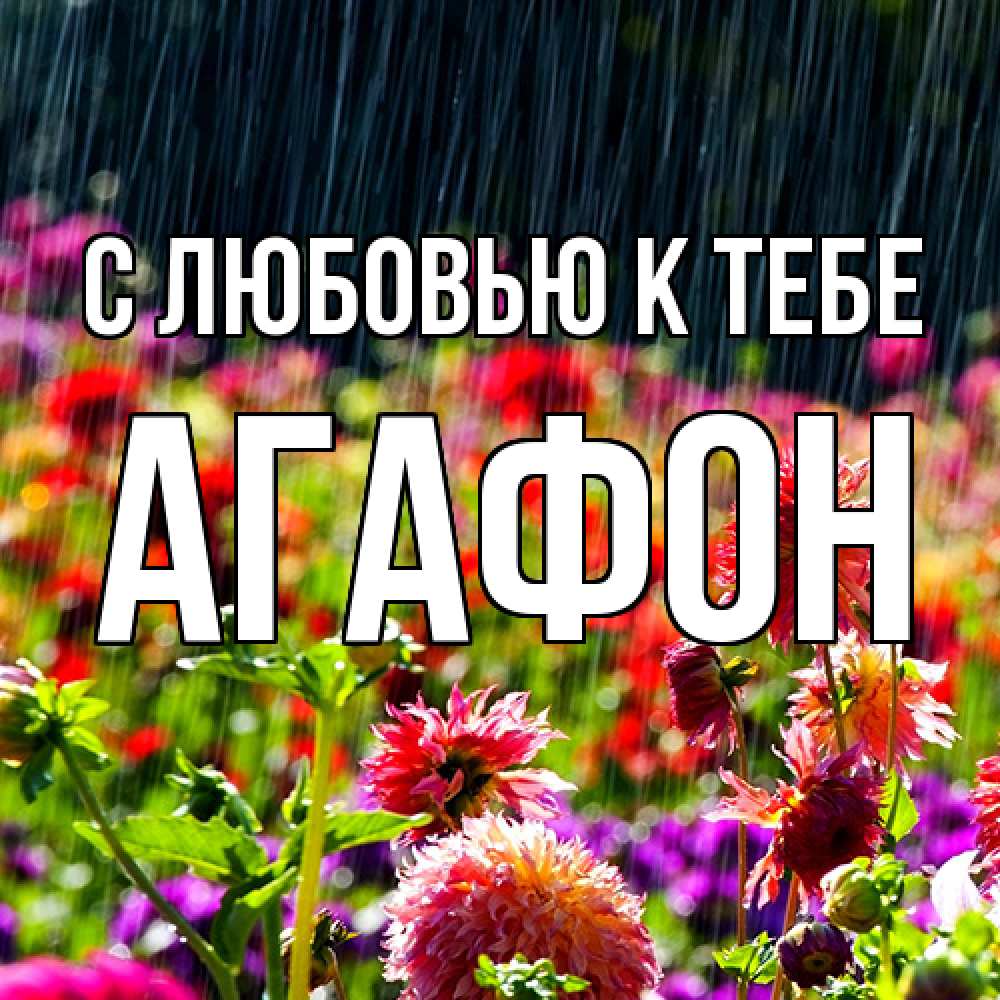 Открытка  с именем. Агафон, С любовью к тебе  