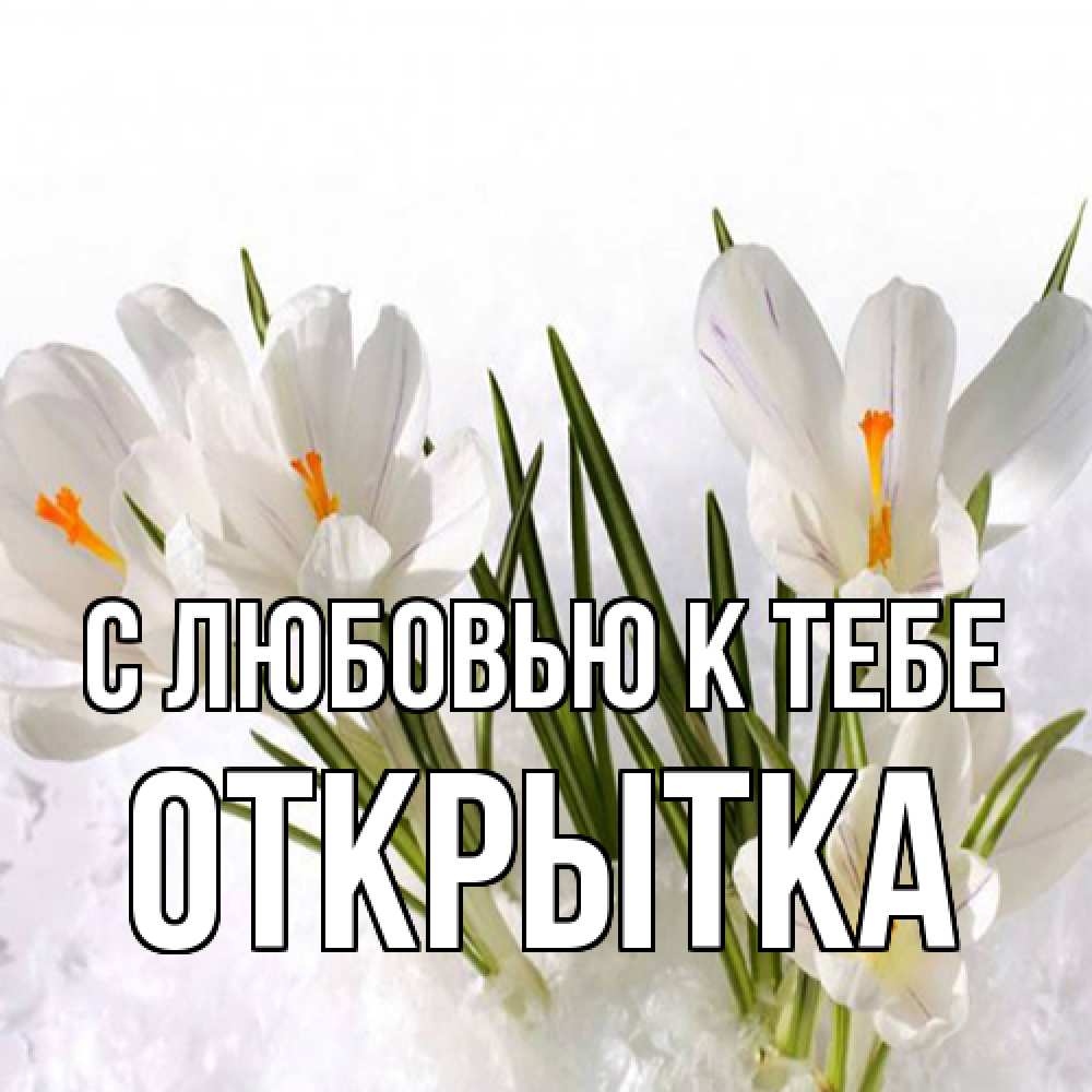 Открытка  с именем. открытка, С любовью к тебе  