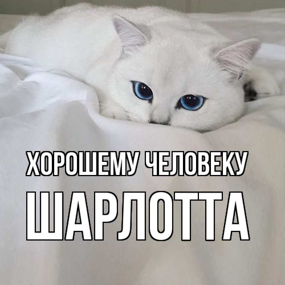Открытка  с именем. Шарлотта, Хорошему человеку  