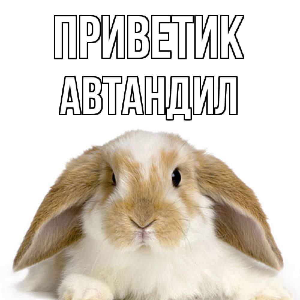 Открытка  с именем. Автандил, приветик  