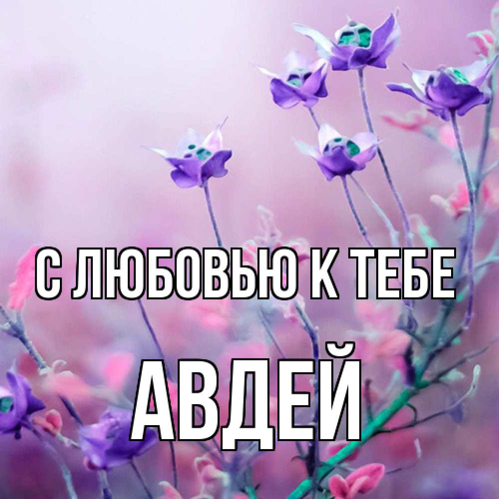 Открытка  с именем. Авдей, С любовью к тебе  