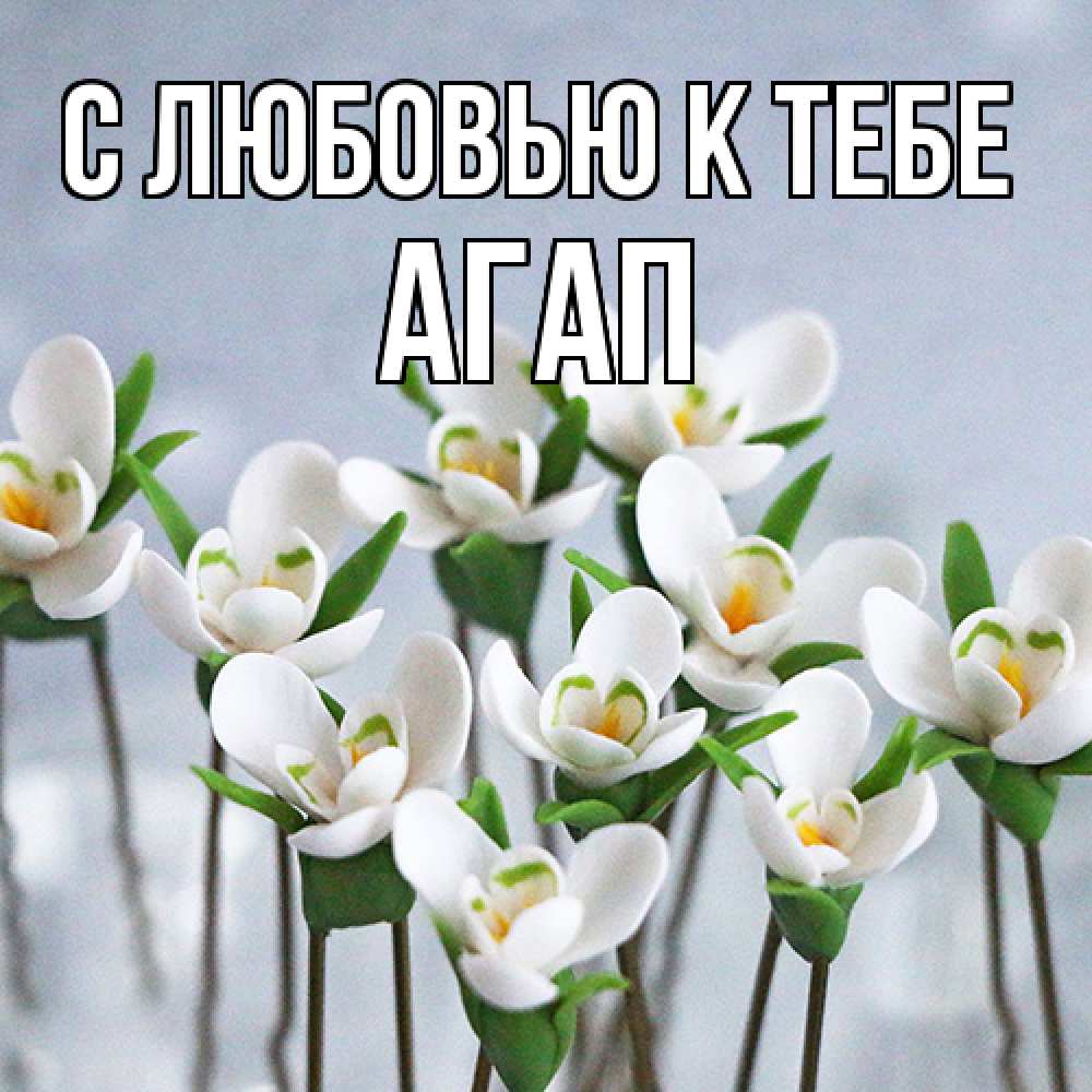 Открытка  с именем. Агап, С любовью к тебе  