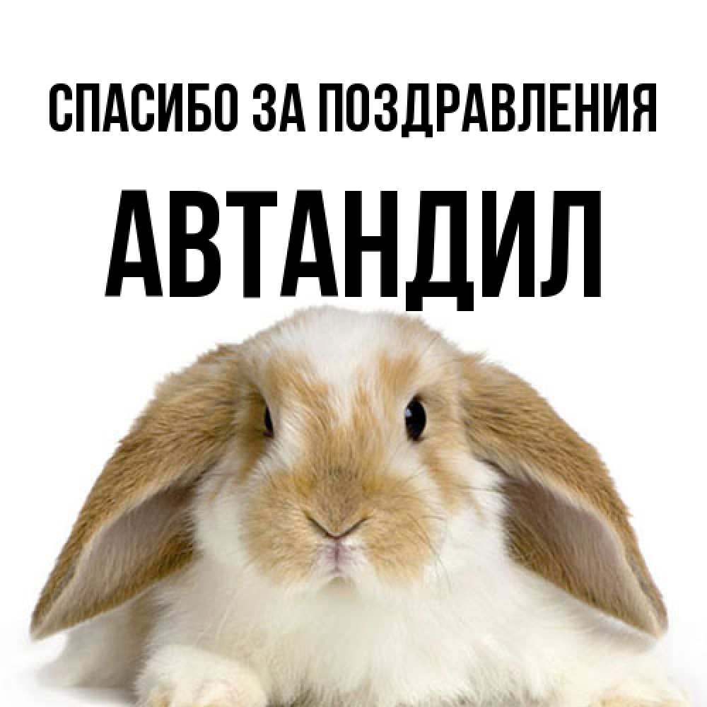 Открытка  с именем. Автандил, Спасибо за поздравления  