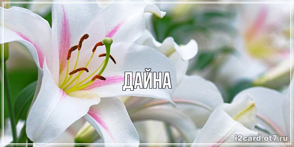 Открытка  с именем. Дайна, Главная  