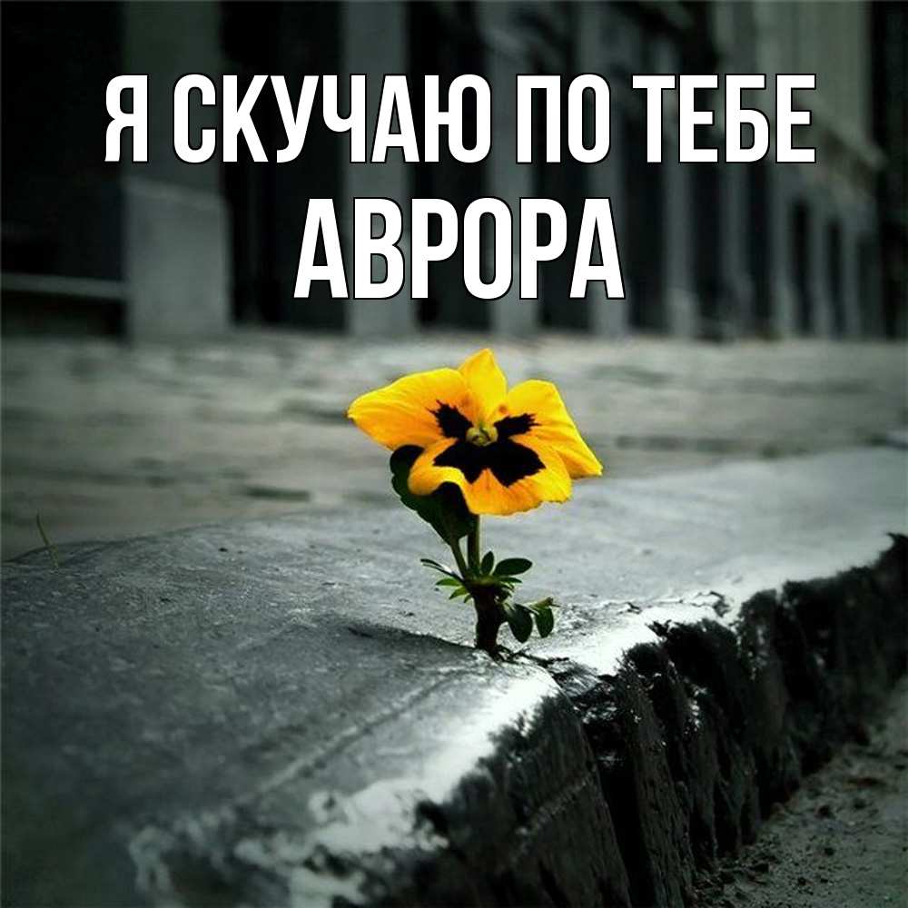 Открытка  с именем. Аврора, Я скучаю по тебе  