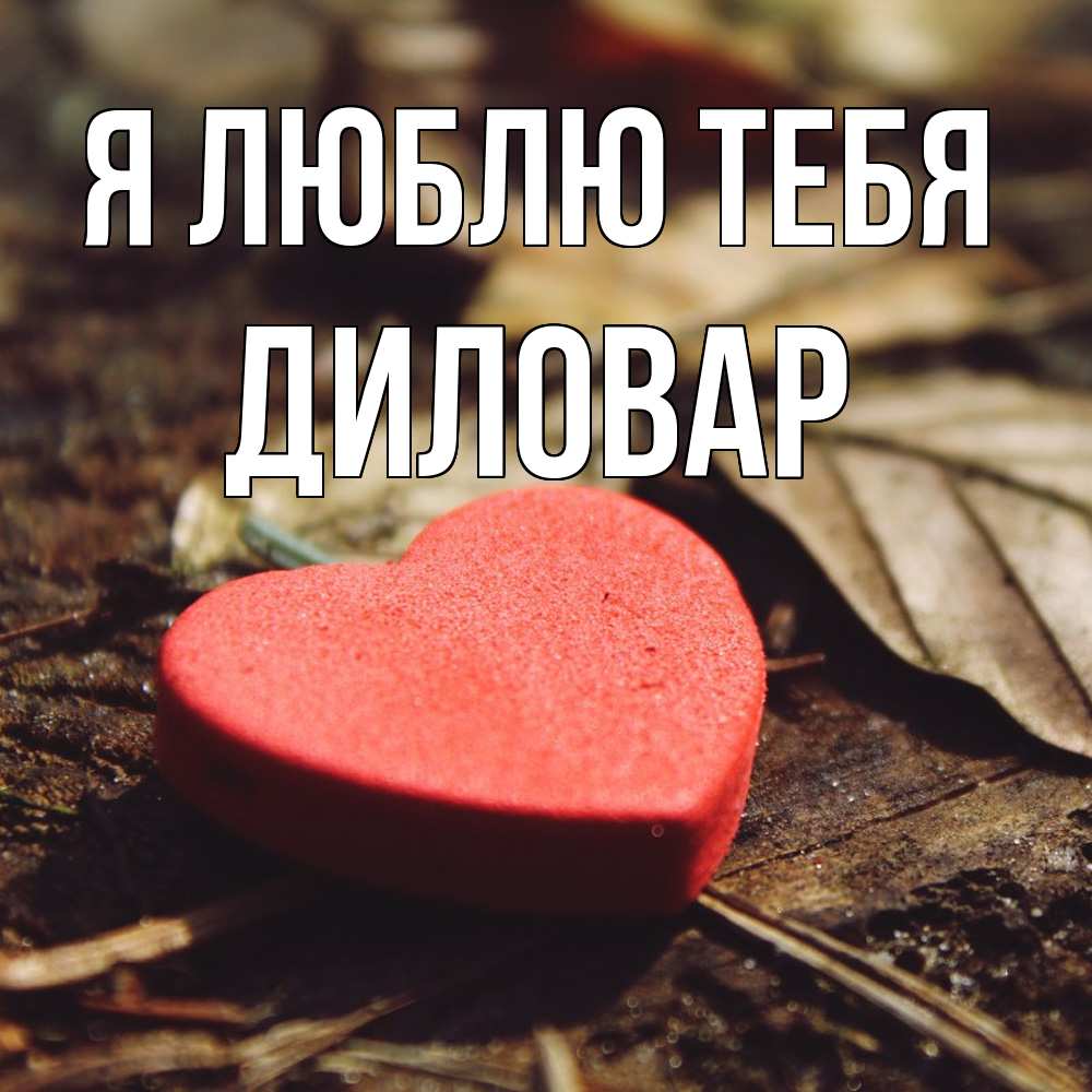 Открытка  с именем. Диловар, Я люблю тебя  