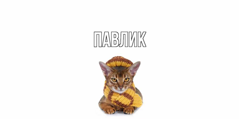 Открытка  с именем. Павлик, Главная  