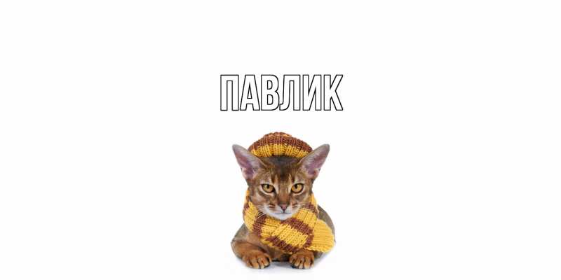 Картинка  с именем , Павлик