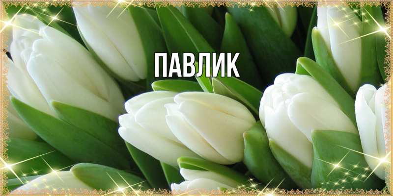 Картинка  с именем , Павлик