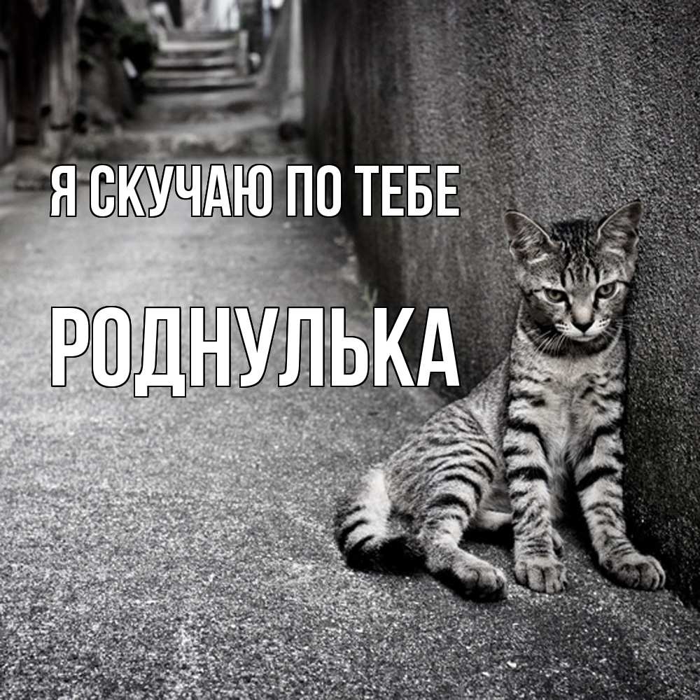 Открытка  с именем. роднулька, Я скучаю по тебе  