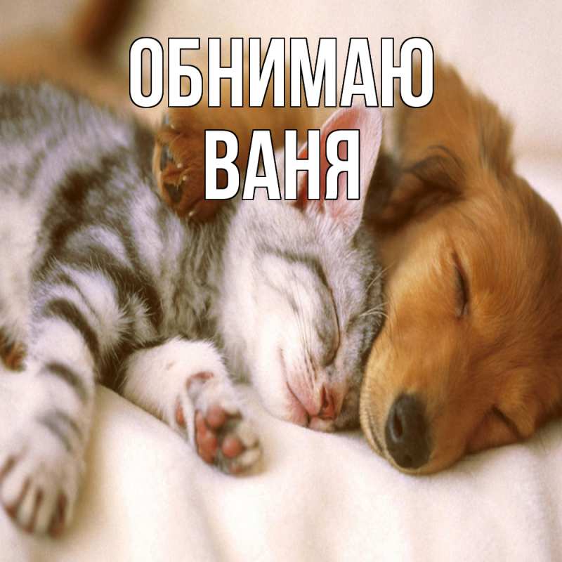 Картинка Обнимаю, ваня