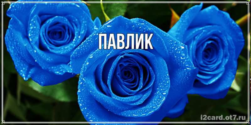 Картинка  с именем , Павлик