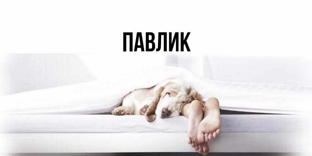 Открытка  с именем. Павлик, Главная  