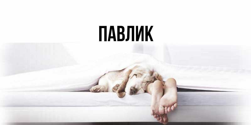 Картинка  с именем , Павлик