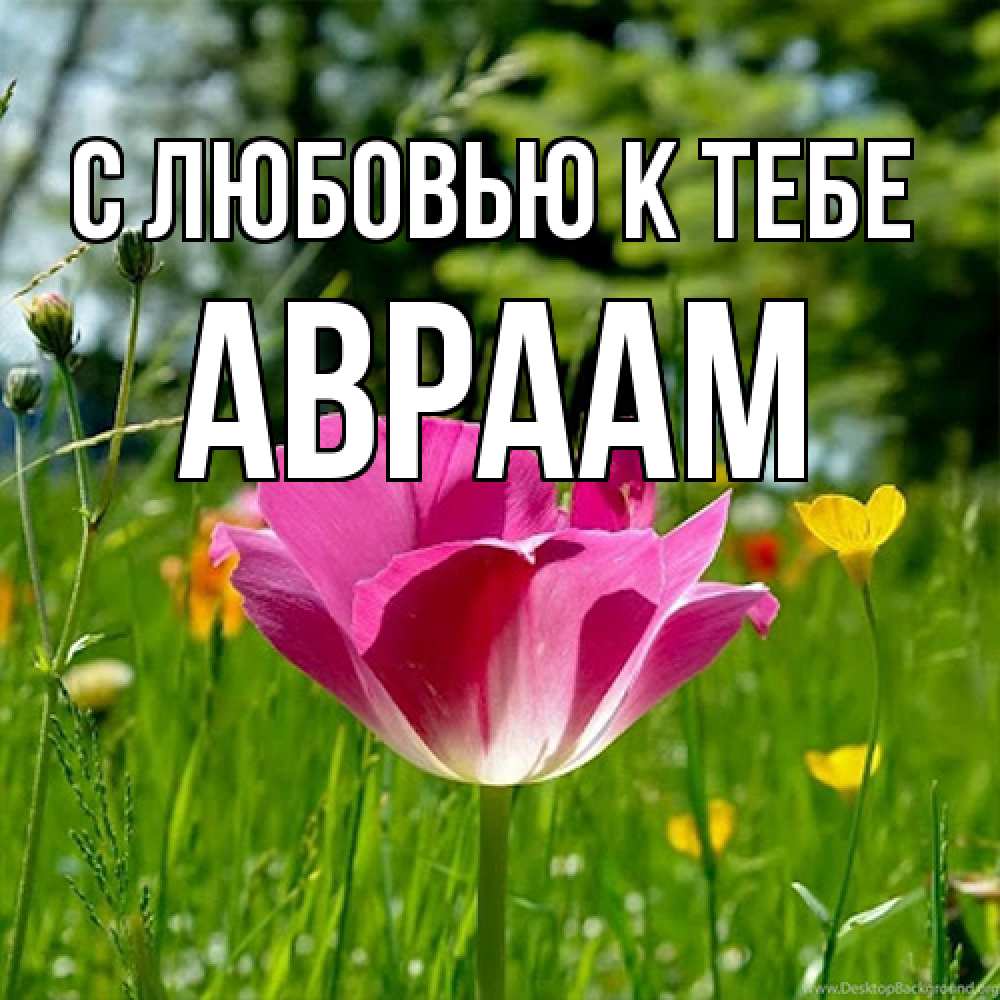 Открытка  с именем. Авраам, С любовью к тебе  