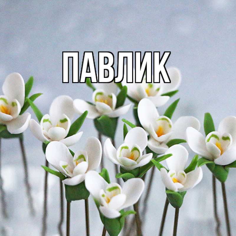 Картинка  с именем , Павлик