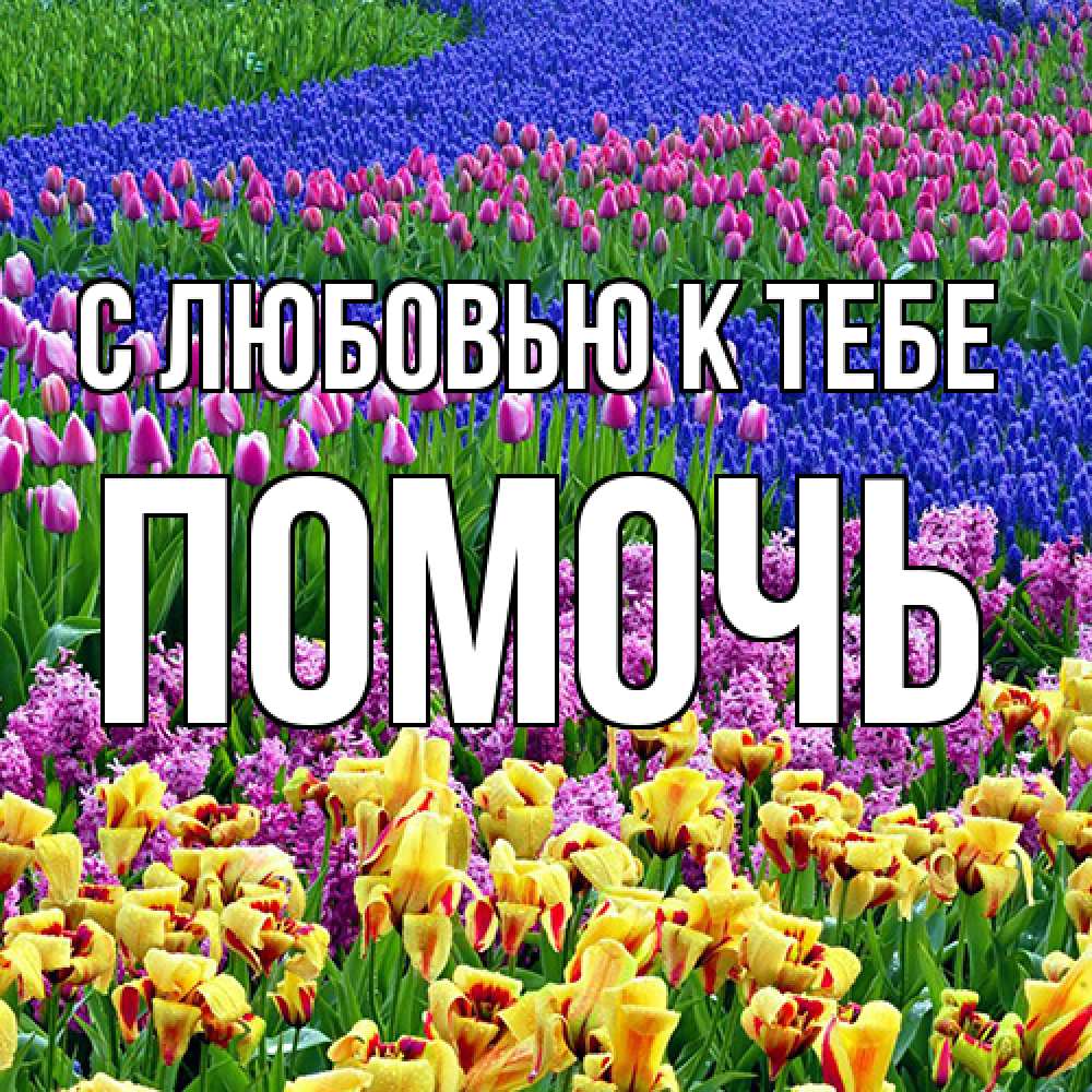 Открытка  с именем. Помочь, С любовью к тебе  