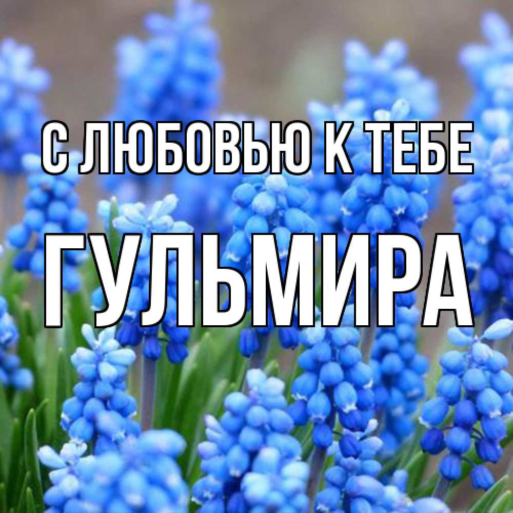 Открытка  с именем. Гульмира, С любовью к тебе  
