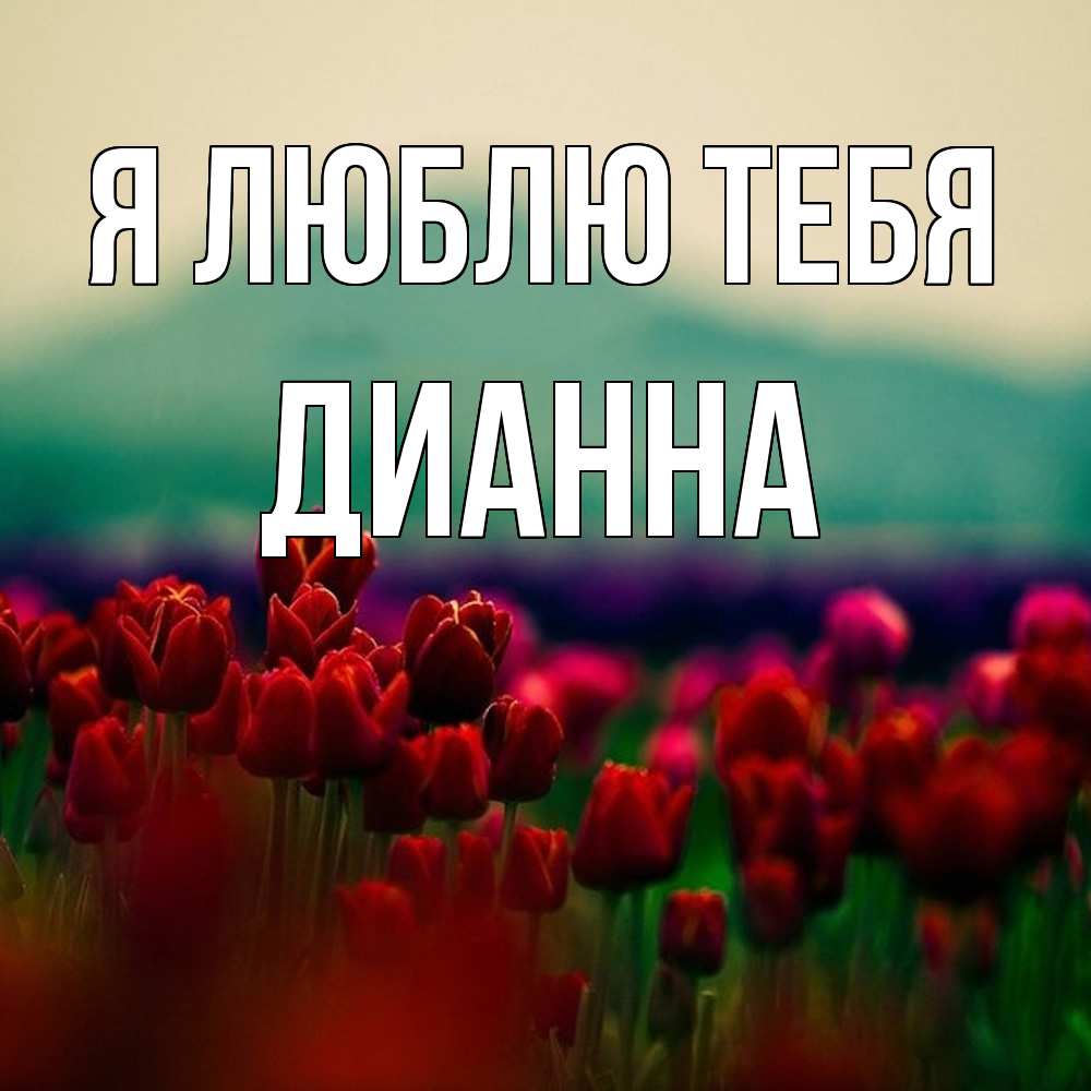 Открытка  с именем. Дианна, Я люблю тебя  