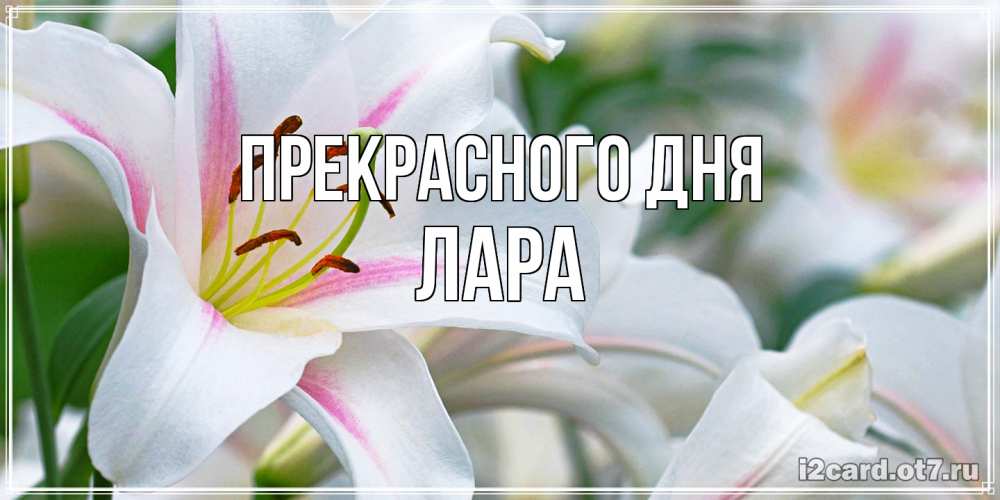 Открытка  с именем. Лара, Прекрасного дня  