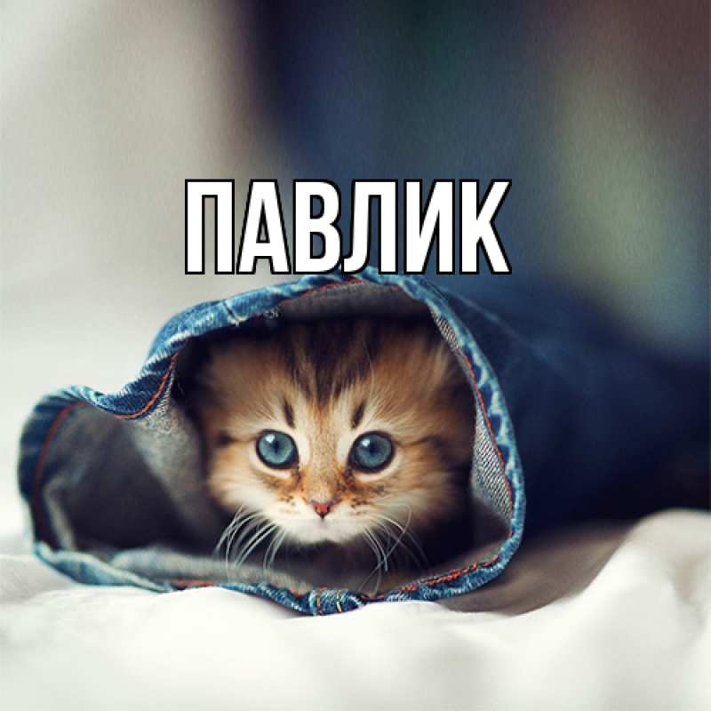 Картинка  с именем , Павлик