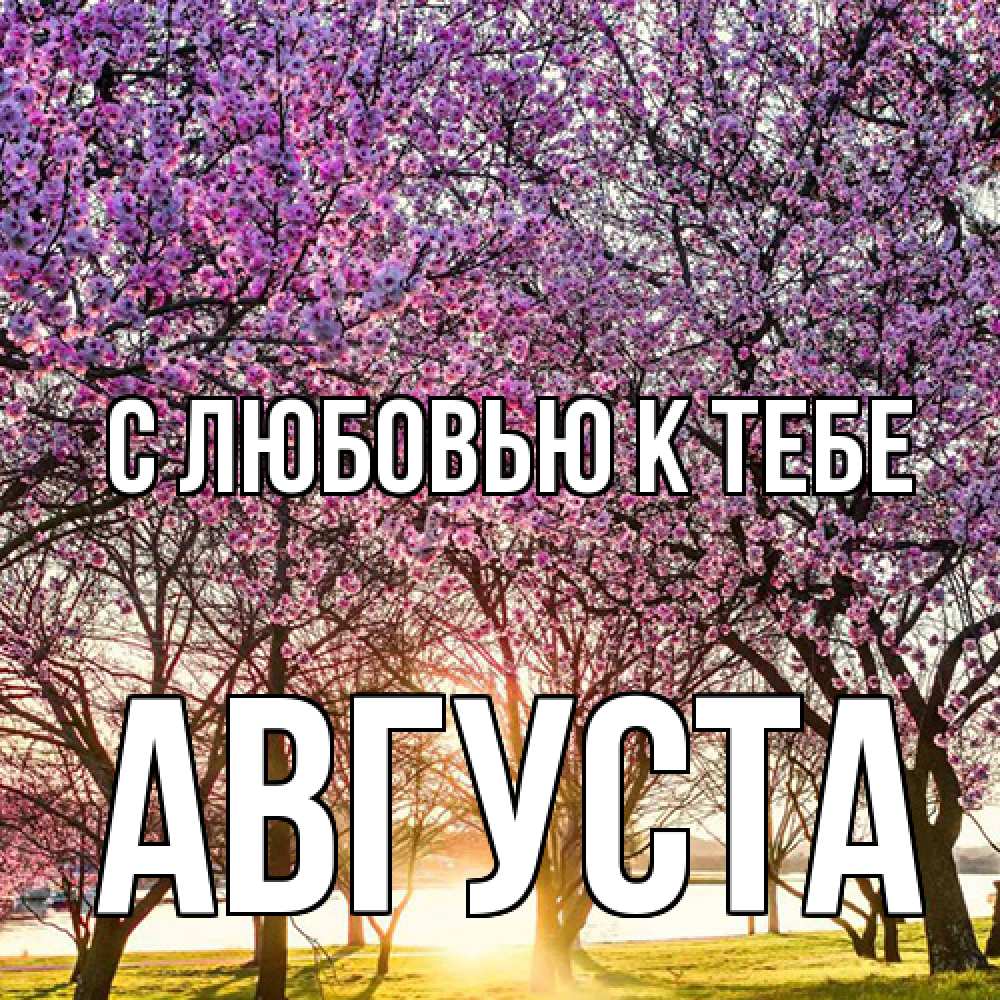 Открытка  с именем. Августа, С любовью к тебе  