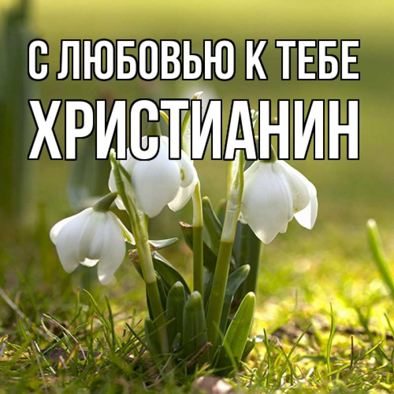 Картинка С любовью к тебе, Христианин