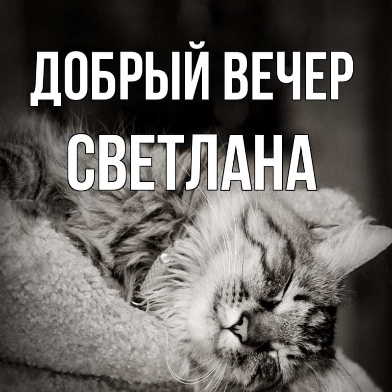 Картинка Добрый вечер, Светлана