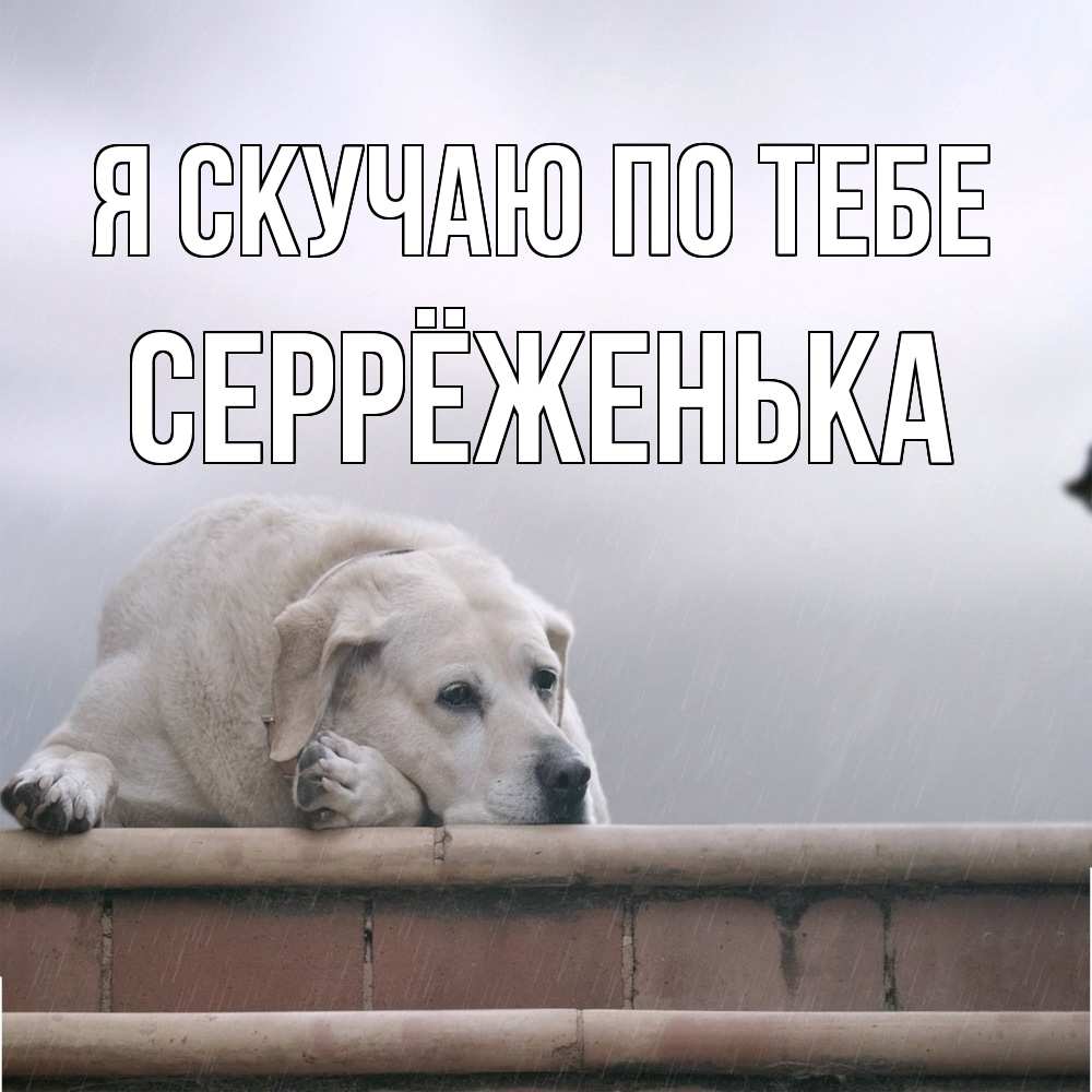 Открытка  с именем. Серрёженька, Я скучаю по тебе  