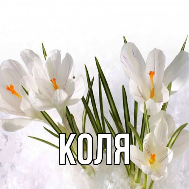 Картинка  с именем , коля