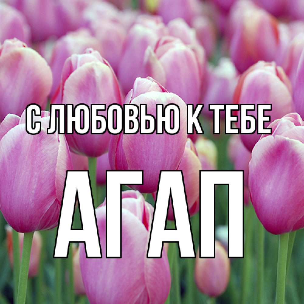Открытка  с именем. Агап, С любовью к тебе  