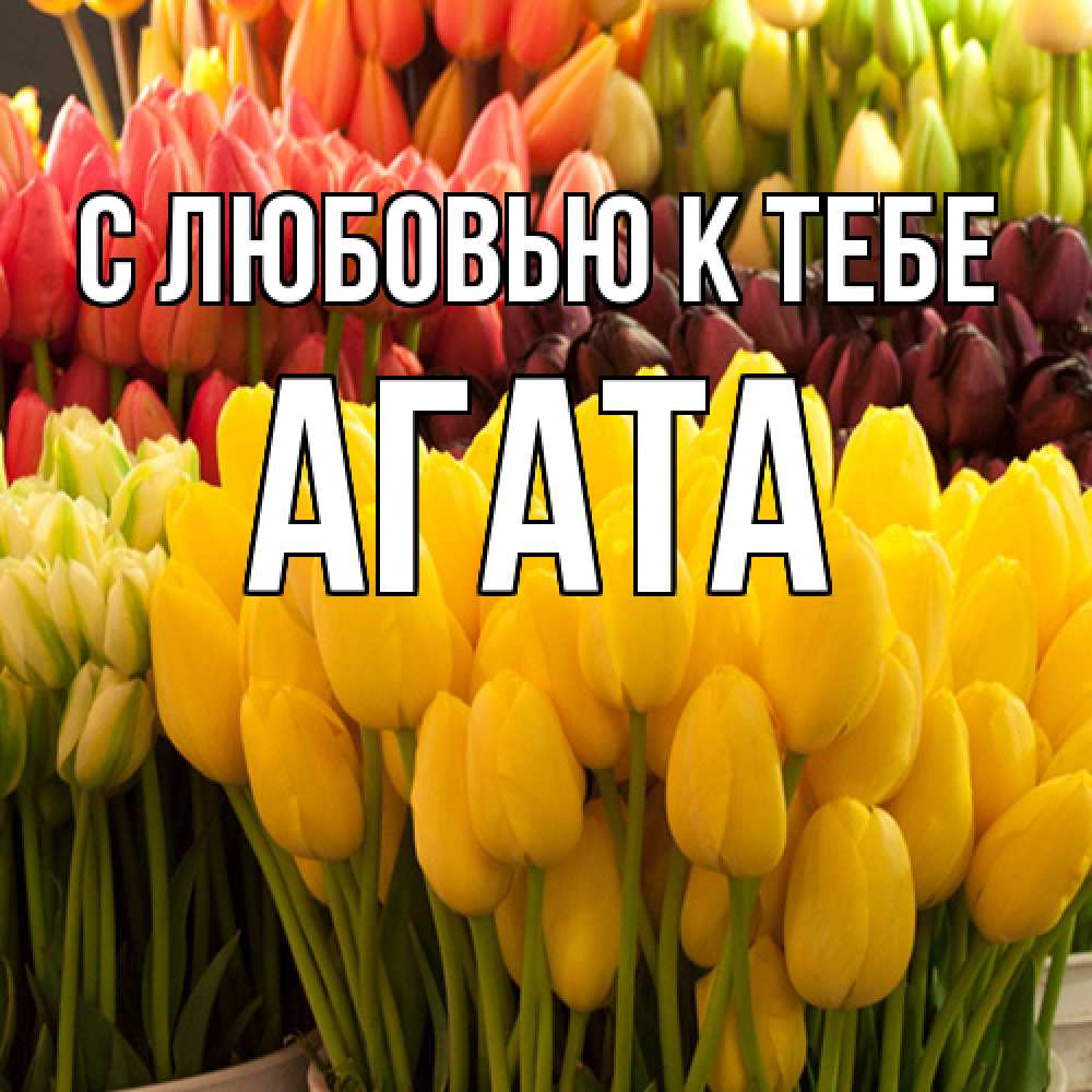 Открытка  с именем. Агата, С любовью к тебе  