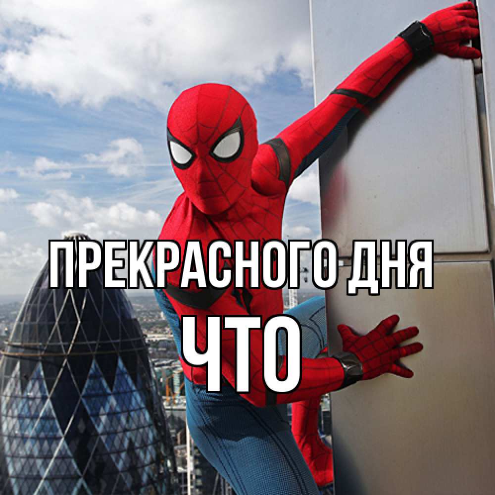 Открытка  с именем. Что, Прекрасного дня  