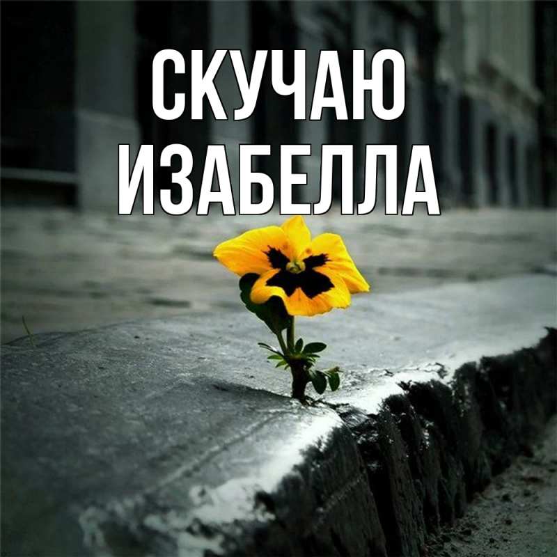 Картинка Скучаю, Изабелла