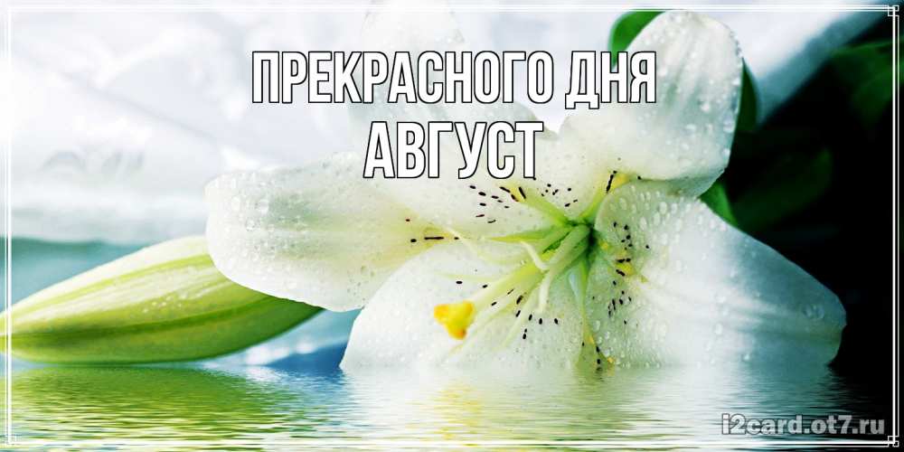 Открытка  с именем. Август, Прекрасного дня  