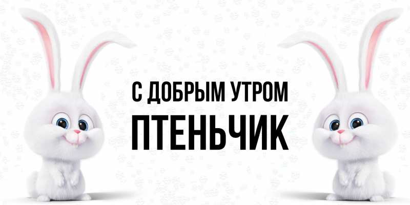 Картинка С добрым утром, Птеньчик