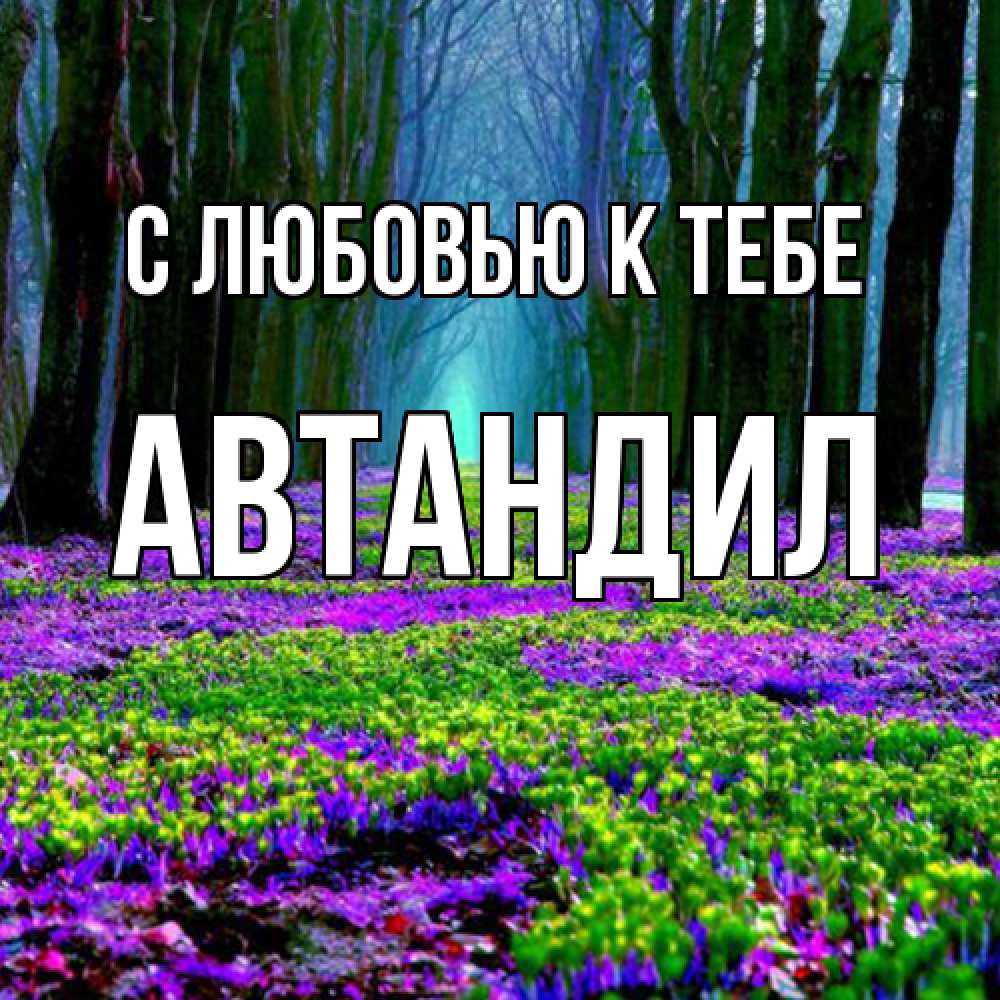 Открытка  с именем. Автандил, С любовью к тебе  
