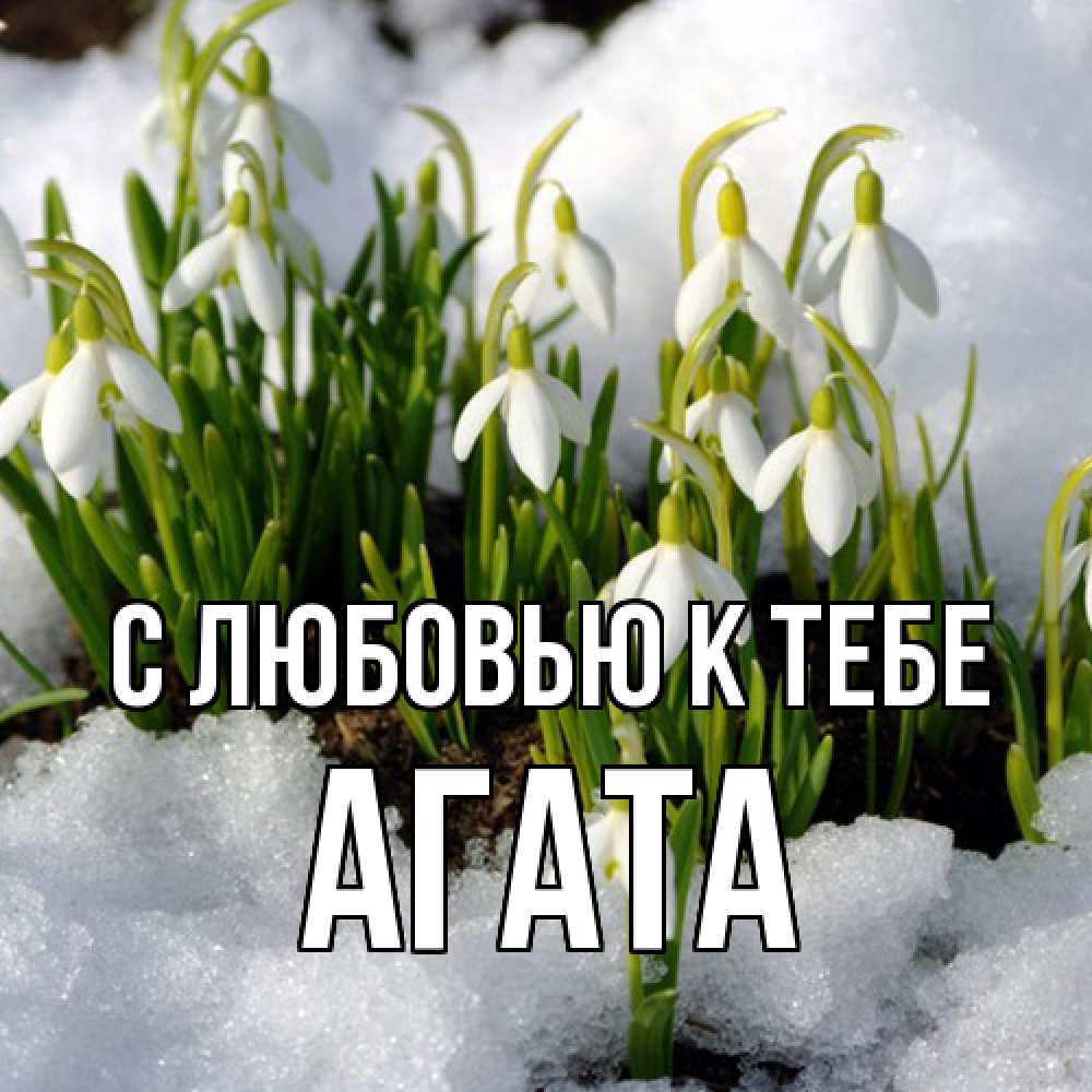 Открытка  с именем. Агата, С любовью к тебе  