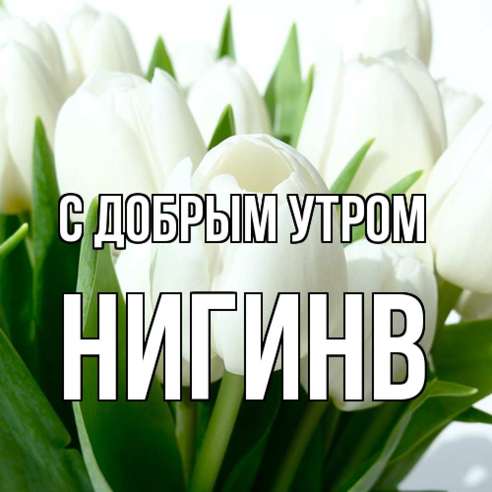 Открытка  с именем. Нигинв, С добрым утром  