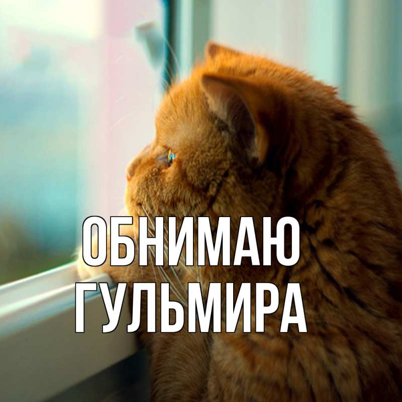 Картинка Обнимаю, Гульмира