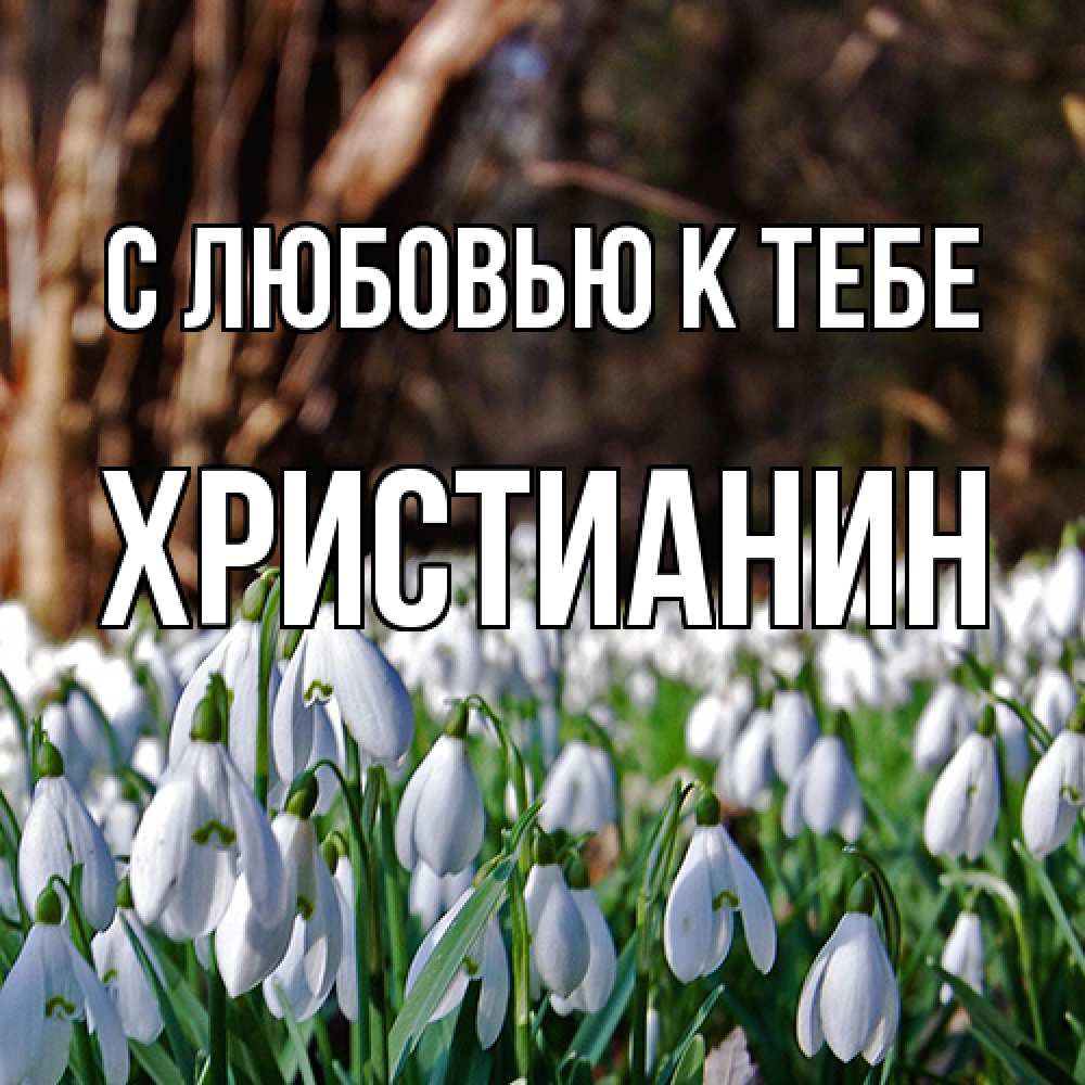 Открытка  с именем. Христианин, С любовью к тебе  