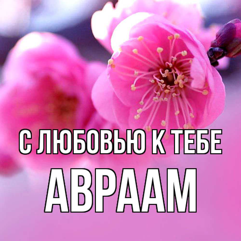 Открытка  с именем. Авраам, С любовью к тебе  
