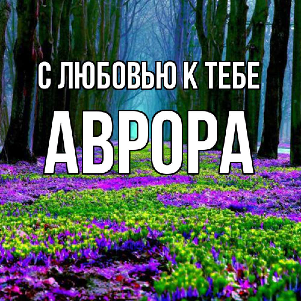 Открытка  с именем. Аврора, С любовью к тебе  