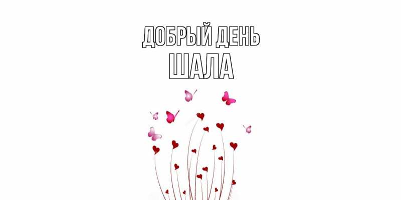 Картинка Добрый день, Шала